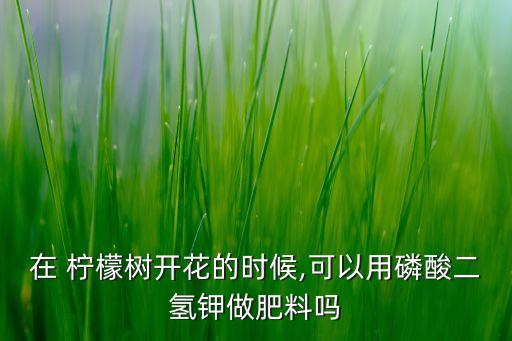 在 檸檬樹開花的時候,可以用磷酸二氫鉀做肥料嗎
