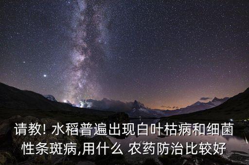 請教! 水稻普遍出現白葉枯病和細菌性條斑病,用什么 農藥防治比較好