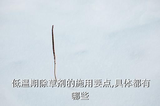 低溫期除草劑的施用要點,具體都有哪些