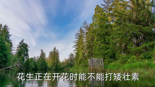 花生打什么農(nóng)藥結(jié)果多,花生用什么農(nóng)藥殺蟲