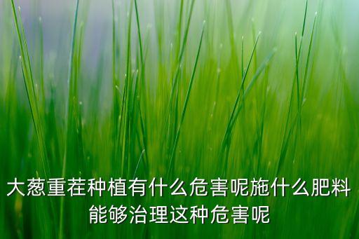 大蔥重茬種植有什么危害呢施什么肥料能夠治理這種危害呢