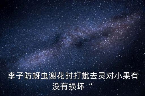 李子防蚜蟲謝花時(shí)打蚍去靈對(duì)小果有沒(méi)有損壞“