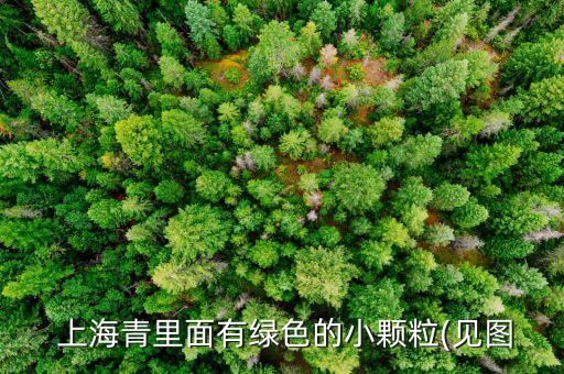 上海青用什么農藥防蟲