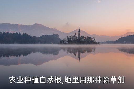 毛草用什么農藥能治斷根,打毛草用什么農藥?