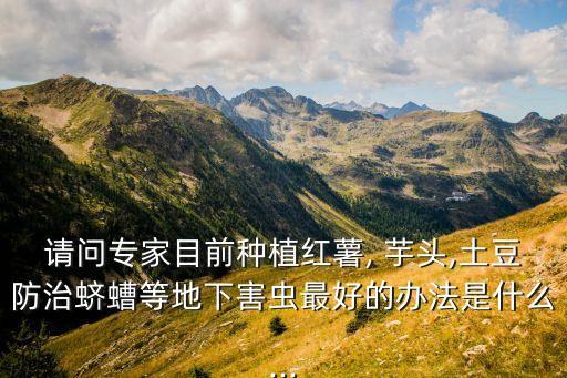 請問專家目前種植紅薯, 芋頭,土豆防治蠐螬等地下害蟲最好的辦法是什么...