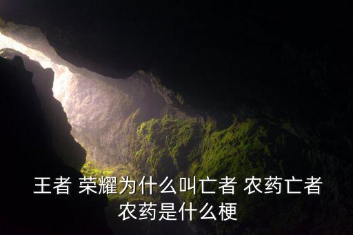 王者 榮耀為什么叫亡者 農(nóng)藥亡者 農(nóng)藥是什么梗