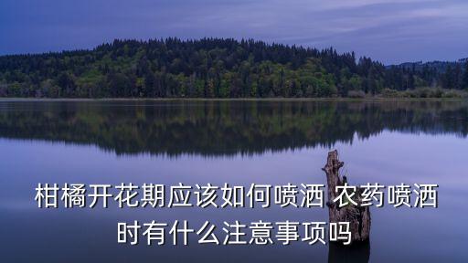 冬天柑橘打什么農(nóng)藥,柑橘花期用什么農(nóng)藥