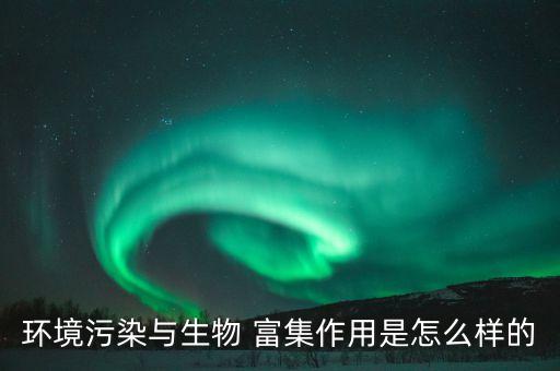 環境污染與生物 富集作用是怎么樣的