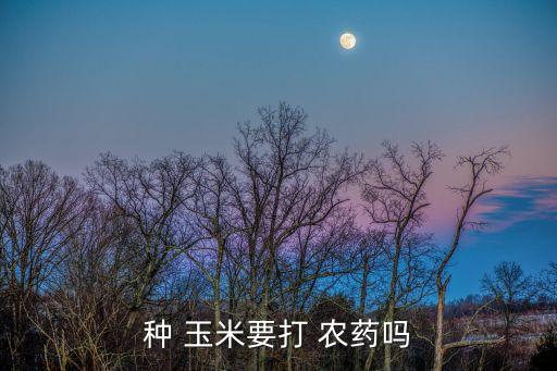 玉米后期需打什么農(nóng)藥,玉米生長(zhǎng)后期用什么肥