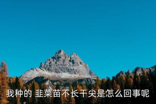 韭菜立枯用什么農藥治,韭菜什么農藥超標