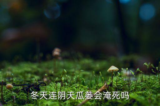 冬天連陰天瓜蔞會淹死嗎