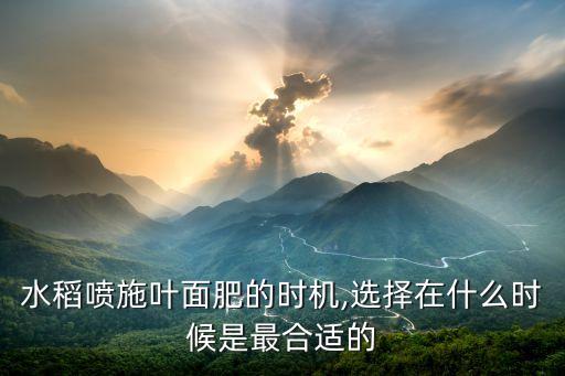 稻谷打農藥是什么時候,稻谷什么時候噴農藥