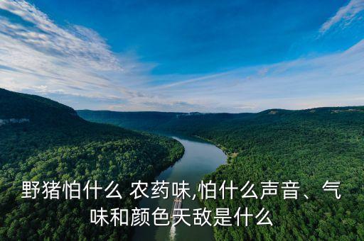 農藥什么豹原藥,農藥原藥2022價格一覽表