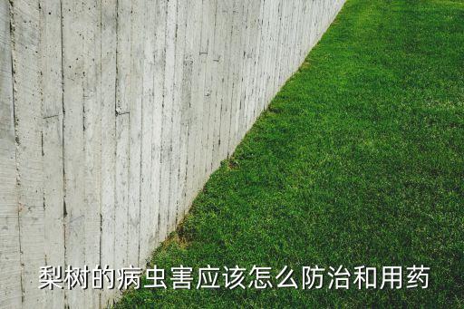 梨樹的病蟲害應該怎么防治和用藥
