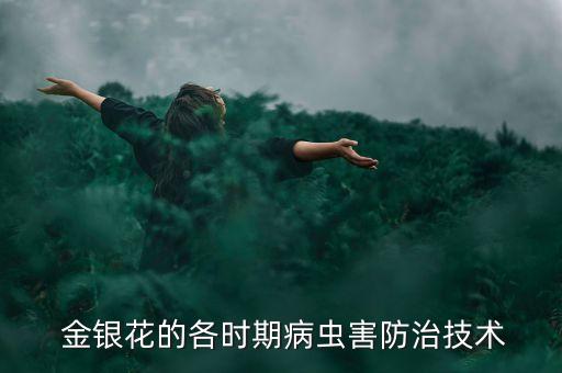  金銀花的各時期病蟲害防治技術