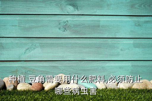 豆角撒什么農藥開花最多,豆角不能用什么農藥