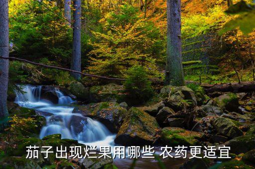 茄子出現爛果用哪些 農藥更適宜