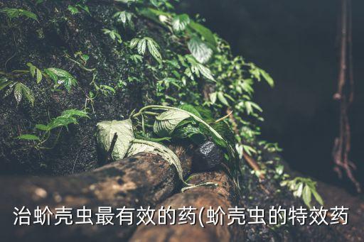 介殼蟲什么農(nóng)藥效果好,什么是介殼蟲?用啥藥效果好?