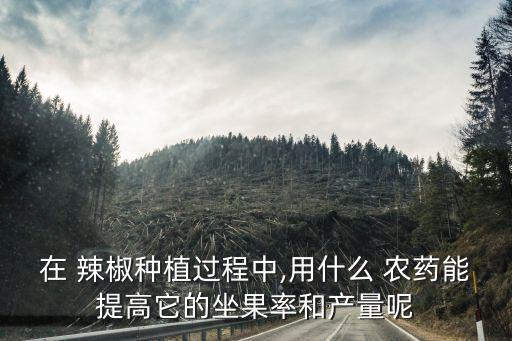 辣椒移植前打什么農藥好,移植辣椒苗注意什么