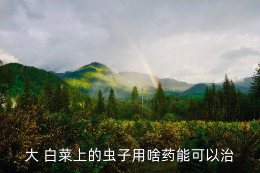 大 白菜上的蟲子用啥藥能可以治