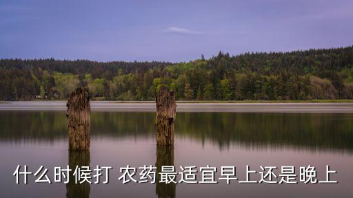 什么時候打 農藥最適宜早上還是晚上
