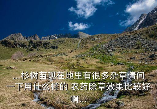 什么農藥適合打樹地草,冬天適合用什么農藥