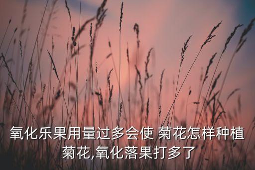 可以做農藥的菊花是什么,菊花魚是什么魚做的