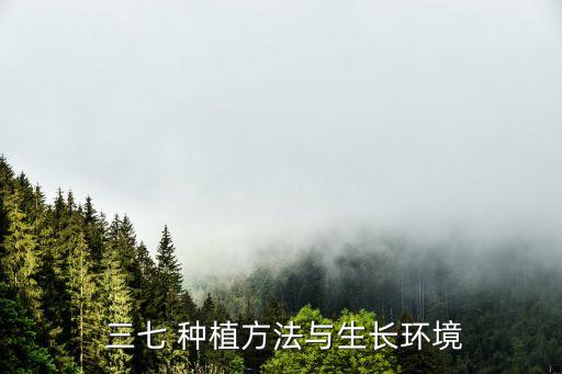 三七 種植方法與生長環(huán)境