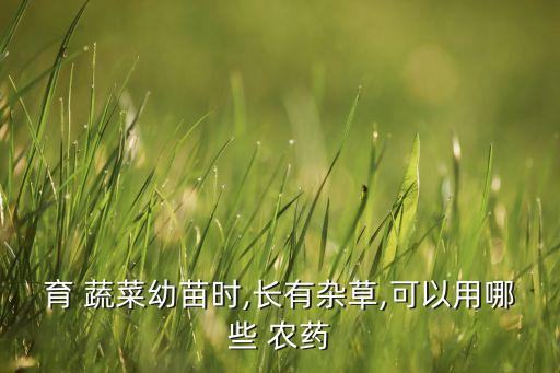 蔬菜基地用什么農藥好用,直升機為蔬菜基地噴灑農藥