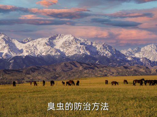 臭蟲的防治方法