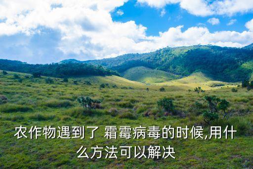 通菜霜霉病用什么農藥,菜霜霉病噴什么藥