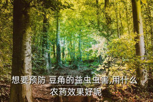 想要預防 豆角的益蟲蟲害,用什么 農藥效果好呢