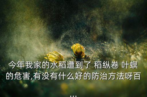 今年我家的水稻遭到了 稻縱卷 葉螟的危害,有沒有什么好的防治方法呀百...