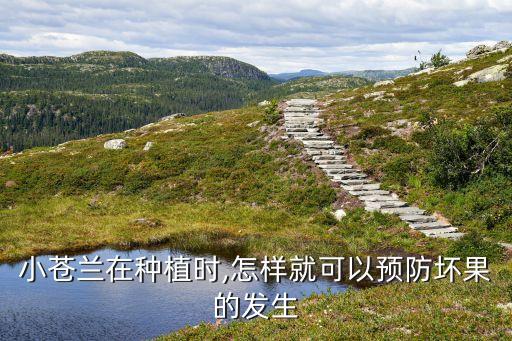 農(nóng)藥叫蒼什么靈,雙效靈農(nóng)藥治什么病