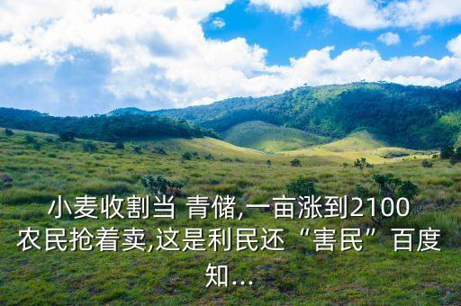 青儲為什么要噴農(nóng)藥,為什么禁止青儲