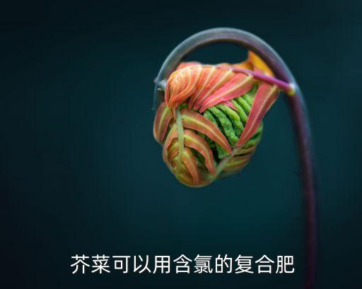 芥菜施什么農藥好用些,芥菜打什么農藥