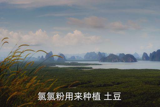 氯氯粉用來種植 土豆