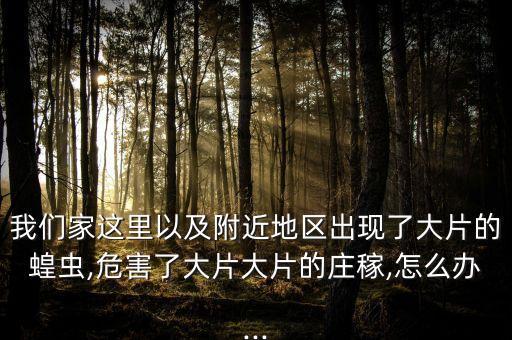 我們家這里以及附近地區出現了大片的蝗蟲,危害了大片大片的莊稼,怎么辦...