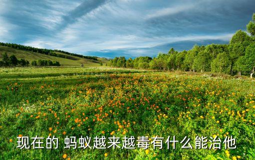 螞蟻用什么農藥治,治螞蟻最有效的農藥