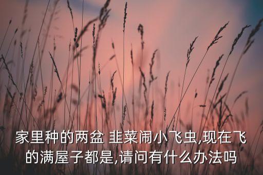 韭菜用什么農(nóng)藥殺死蟲(chóng)子,韭菜生什么蟲(chóng)子圖片