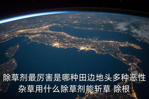 什么農(nóng)藥能除根,竹子除根最好的農(nóng)藥
