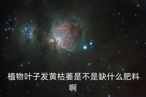 植物葉子發(fā)黃枯萎是不是缺什么肥料啊