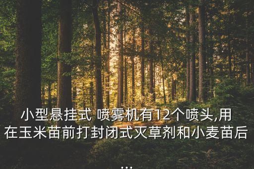 小型懸掛式 噴霧機有12個噴頭,用在玉米苗前打封閉式滅草劑和小麥苗后...