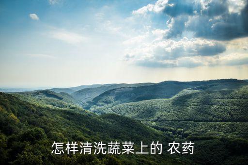 怎樣清洗蔬菜上的 農(nóng)藥