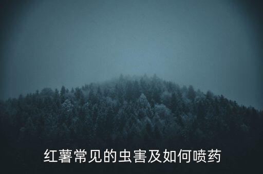 紅薯像蟲(chóng)打什么農(nóng)藥,紅薯會(huì)不會(huì)打農(nóng)藥