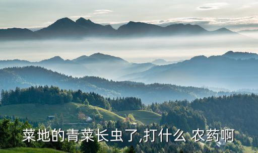 菜地的青菜長蟲了,打什么 農藥啊