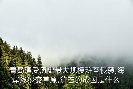 青島什么農藥廠出名,青島農藥廠 68年 爆炸