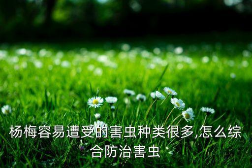 楊梅容易遭受的害蟲種類很多,怎么綜合防治害蟲