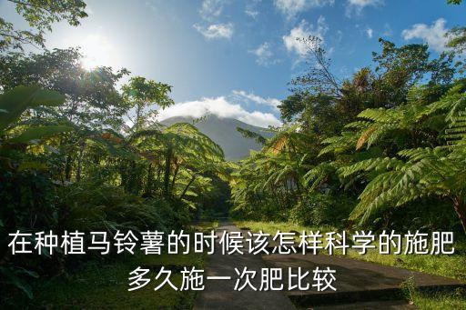 在種植馬鈴薯的時候該怎樣科學的施肥多久施一次肥比較