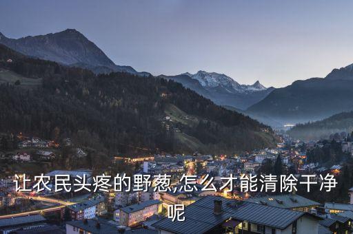 蔥去掉老葉用什么農藥